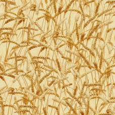 Farm Fanatics 1093- O Wheat
